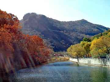 新澳门二四六天天彩，宝宝爹地已再婚